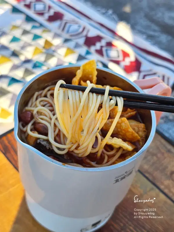 大家源 雙電壓便攜料理鍋 TCY-372202 旅行露營的好