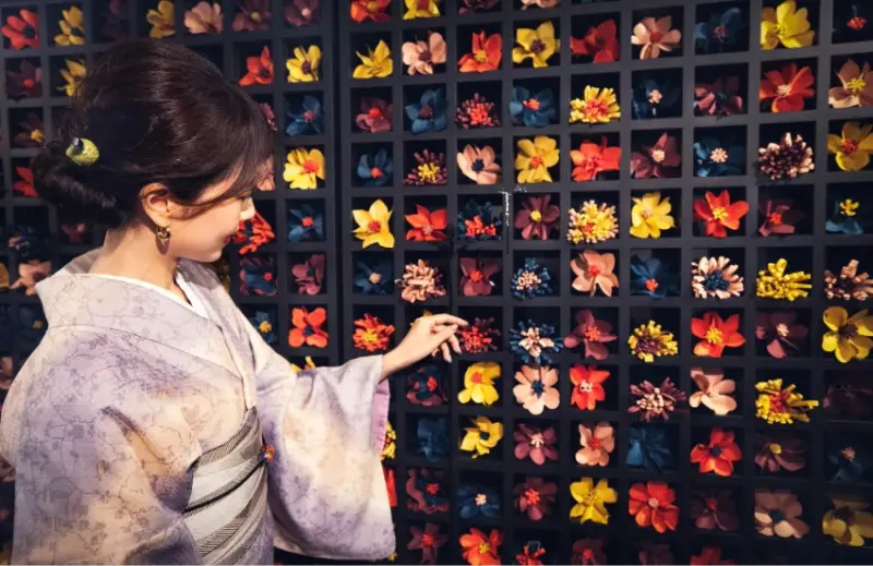 姬路城XNAKED沉浸式數位藝術展，「光之花綻放」夢幻投影＋閃耀森林，古城變身藝術仙境。