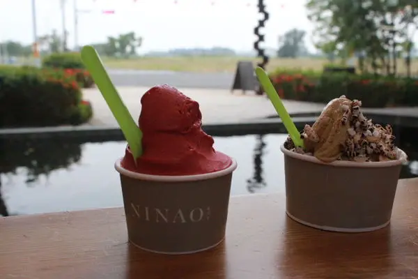 台南安平-不用排隊的 精緻版NINAO Gelato 蜷尾家 經典冰淇淋