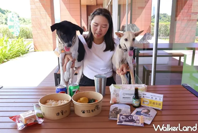 帶毛孩吃大餐！六福萬怡敘日餐廳開放寵物友善用餐，贈寵物餐加碼海鮮季限定優惠開跑。