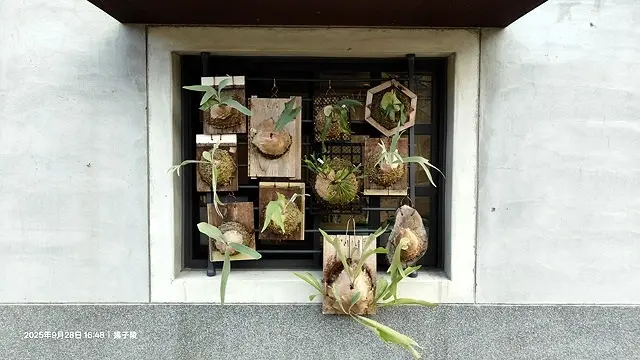 2025在地海味與文青風格的交會，二漁咖啡-鮮魚定食、中興文