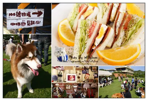 狗狗草原咖啡夢－100號牧場(苗栗通霄)