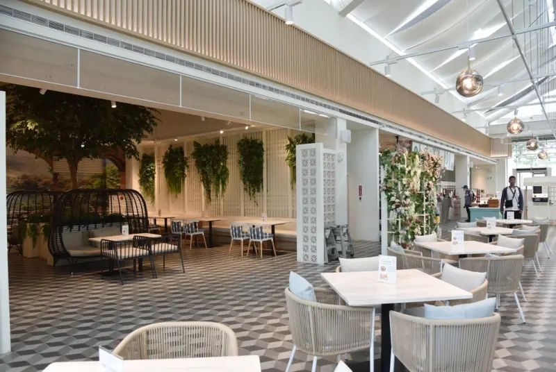 嘉義梅山一日遊行程推薦｜金牌農村太平社區 太平雲梯 太平老街