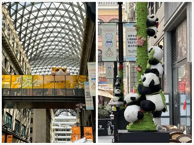 2025蟹逅故事江南D5. 10/22㊂📸城市陽台錢江新景➯