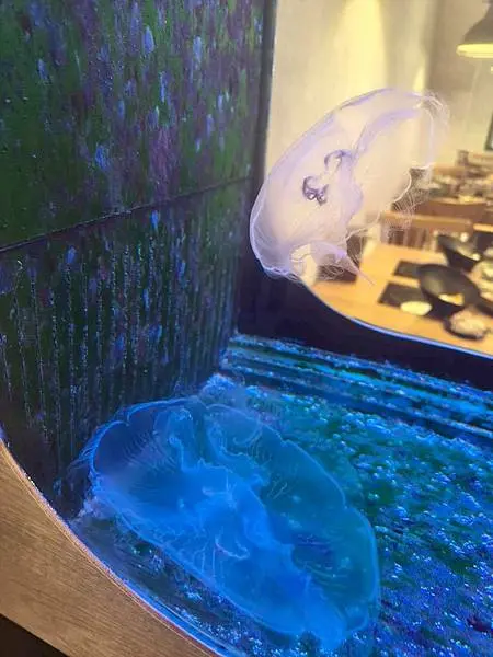 “三重國小捷運站鍋物美食推薦-海牧鍋物”吃飽喝足的海鮮漁夫鍋