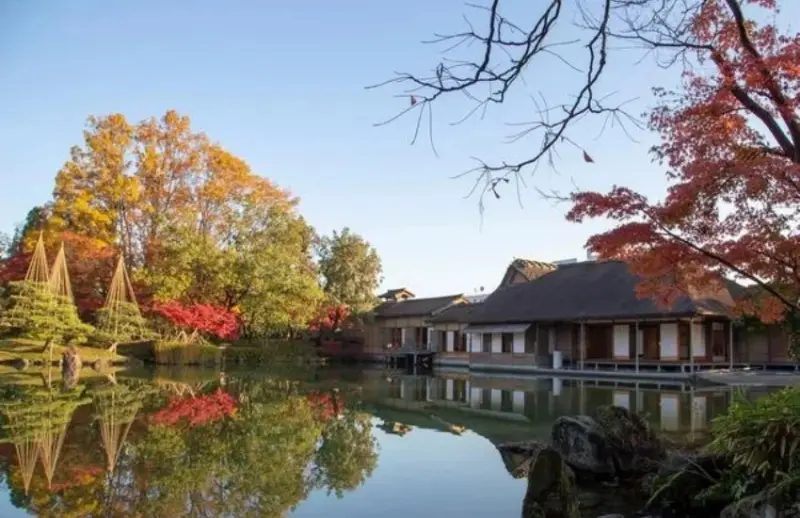 日本庭園排名常勝軍：福井藩主私人別墅「養浩館」11月限定點燈開跑，在美麗庭園裡配著抹茶賞夜楓超美。