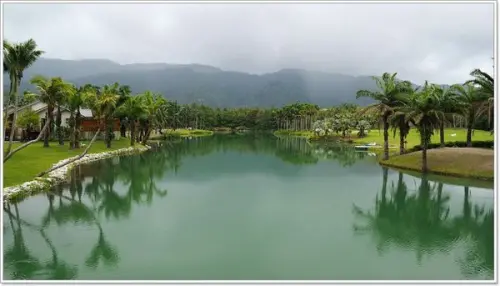 【遊】【花蓮】雲山水．有蛙咖啡的龍貓壁貼