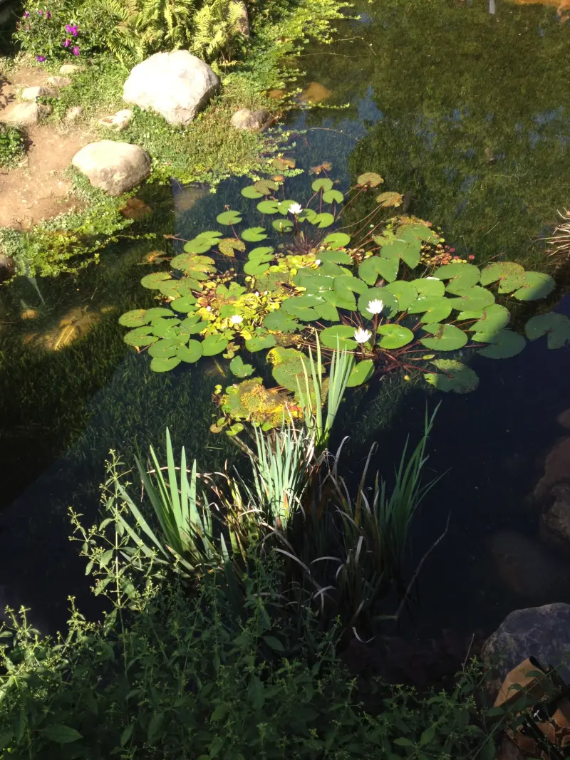 踏尋大自然　豐藏生態美景　