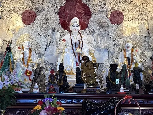 2025從粉紅花海走進海底龍宮，我的淡水奎柔山路(北8)美人