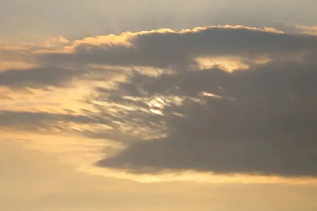 新屋濱海林蔭沙洲 (西濱公路) - 夕陽 - 太陽
