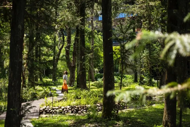 台灣首屆米其林星鑰飯店榜單揭曉「虹夕諾雅 谷關」摘下一星鑰，探索與自然共生的奢華溫泉住宿體驗。