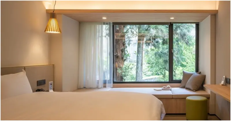 溪頭福華住房買一送一！親子森林暑假住房優惠加碼送溪頭自然教育園區門票。