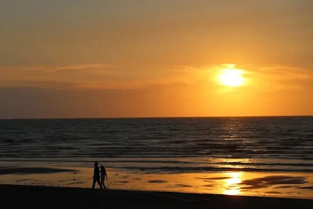 新屋濱海林蔭沙洲 (西濱公路) - 夕陽 - 情侶