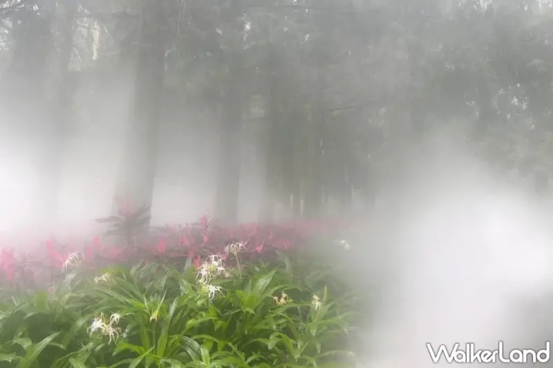 九族文化村「妖祭」！從妖魔共舞到互動解謎、結合原民文化與恐怖電影，打造前所未有的搞鬼盛會。