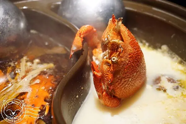 【星羽是吃貨-台中】中高價火鍋套餐式吃到飽，海鮮生猛湯頭特殊~和稻鍋物。