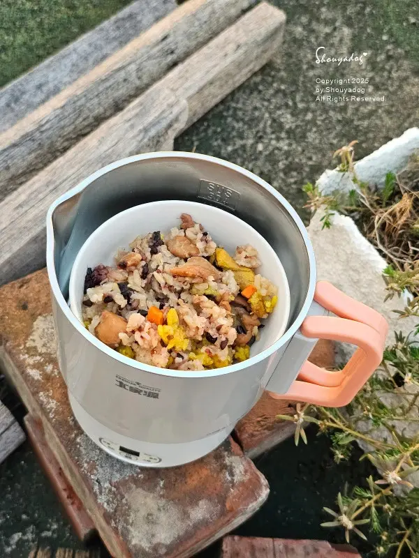 大家源 雙電壓便攜料理鍋 TCY-372202 旅行露營的好