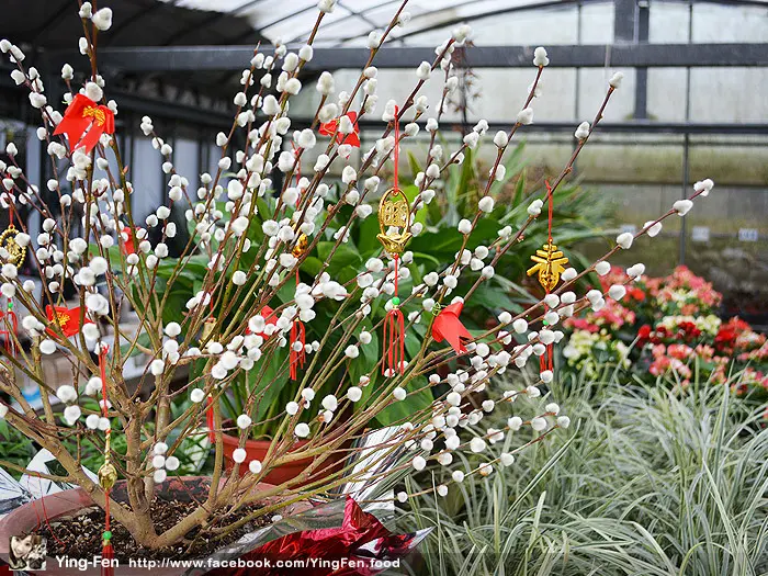 ❤台北-陽明山-竹子湖-清香園花圃
