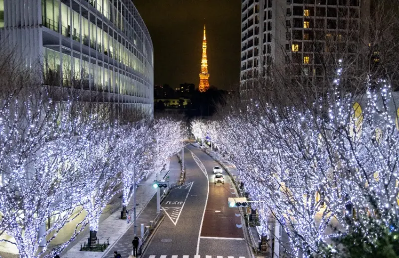 93萬顆燈點亮東京，六本木欅坂大道聖誕市集來了，夢幻燈海、市集、聖誕樹，浪漫氛圍拉滿。