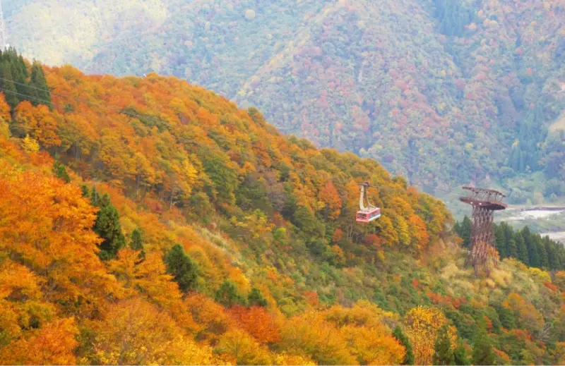 日本三段紅葉奇景現身湯澤高原，東京70分鐘可直達，11月9日前的限定美景，快衝一波。