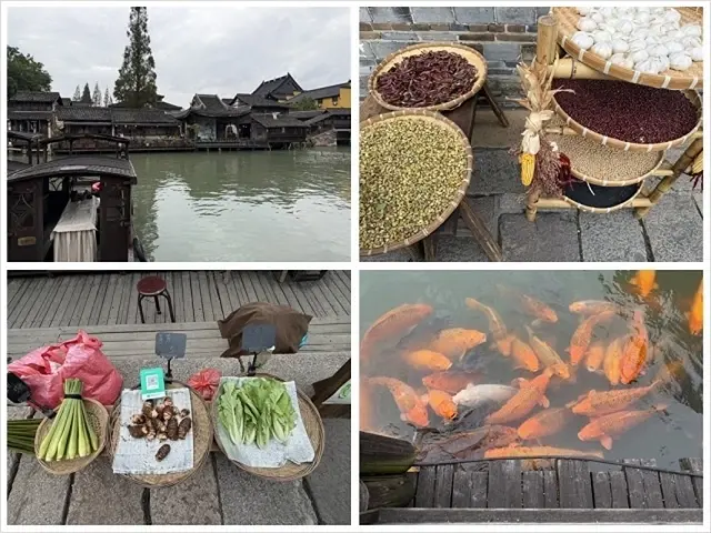 2025蟹逅故事江南D4. 10/21㊁📸烏鎮風景區、敘昌醬