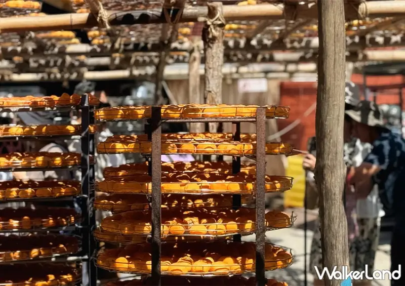 新竹柿餅季來了！味衛佳柿餅觀光農場 整片柿餅海超好拍，30元柿餅冰必吃。