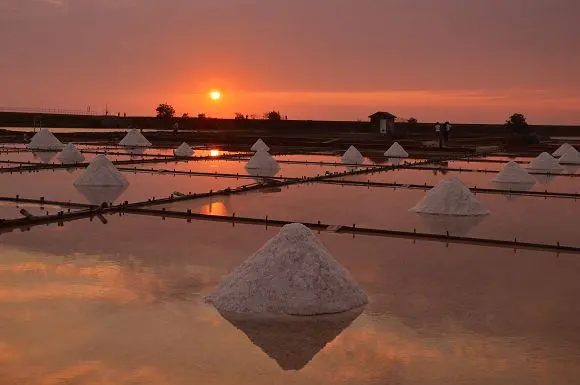 井仔腳瓦盤鹽田~~體驗挑鹽樂趣，賞金黃閃耀的鹽田美景
