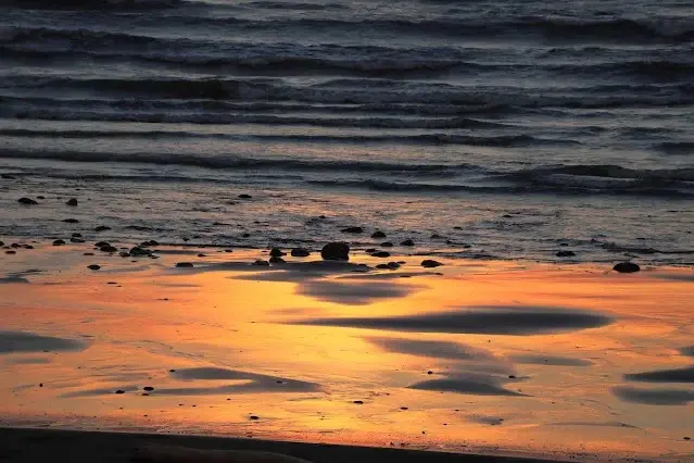 新屋濱海林蔭沙洲 (西濱公路) - 夕陽 - 沙灘