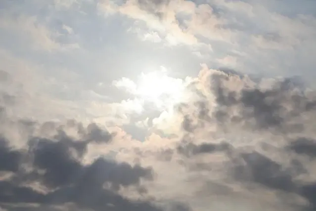 新屋濱海林蔭沙洲 (西濱公路)