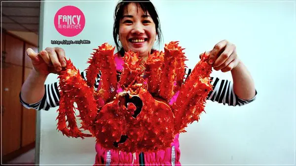 【販奇網】團購宅配美食～團圓味心年菜，南極帝王蟹/懷舊紅燒獅子頭/頂級干貝滿福佛跳牆