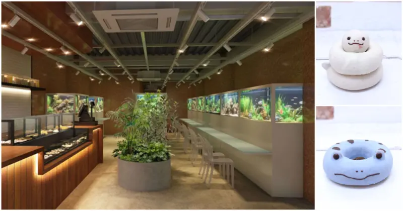 川越新地標加一！使用天然黑潮海水水族館華麗誕生，可享用限定可愛動物甜甜圈的複合式咖啡廳。