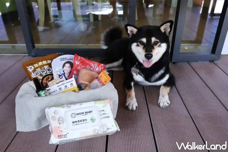 帶毛孩吃大餐！六福萬怡敘日餐廳開放寵物友善用餐，贈寵物餐加碼海鮮季限定優惠開跑。