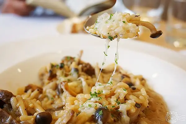 ※ Padano 帕達諾義廚 ※【星羽是吃貨-台中】中國醫旁邊特色餐廳，裝潢溫馨但人手有點不足，牛肝菌野菇燉飯香香的很好吃~