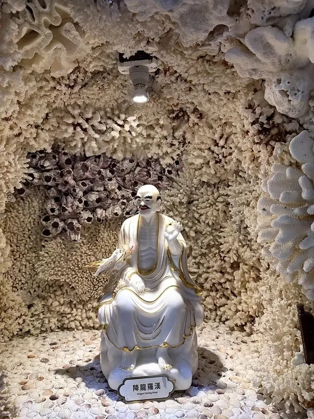 2025從粉紅花海走進海底龍宮，我的淡水奎柔山路(北8)美人