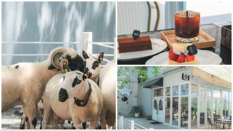 【五結親子景點】黑RURU CAFE｜宜蘭超人氣笑笑羊主題咖啡館！餐點好吃、互動餵羊 萌萌的太可愛啦，內附菜單、入園資訊，宜蘭寵物友善餐廳