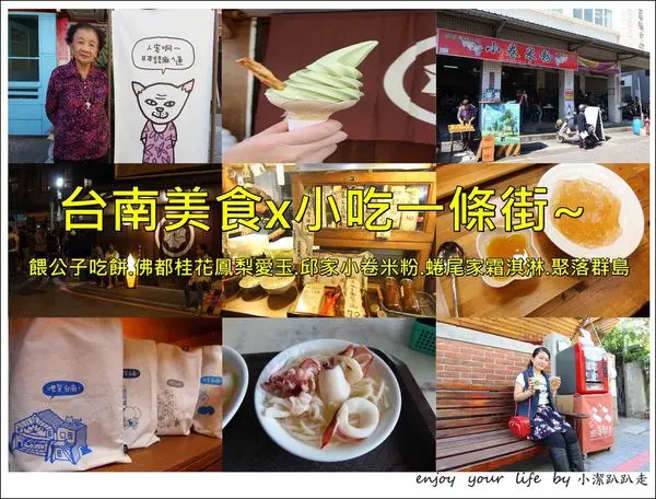 ▋美食▋台南美食小吃一條街，友愛街.海安路.神農街.正興街~餵公子吃餅.佛都桂花鳳梨愛玉.邱家小卷米粉.蜷尾家霜淇淋.聚落群島，一路吃不停！
