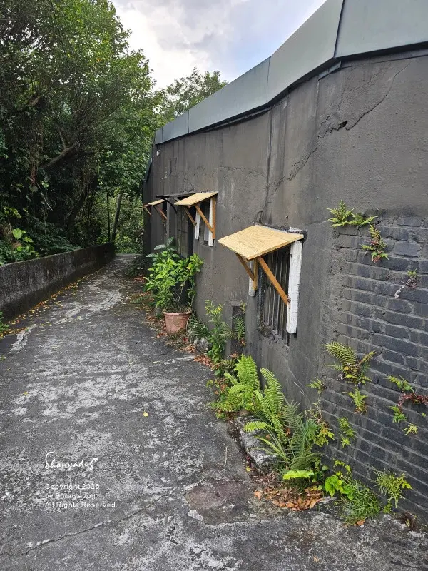 九份暮石民宿 走進九份老街只要30秒 平日早鳥活動免費附贈版