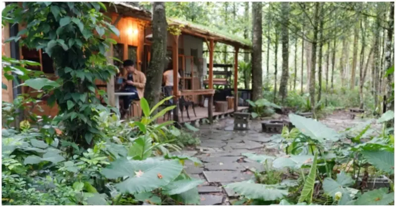 新北秘境咖啡廳推薦！坪林森林系咖啡 那個咖啡吧，寵物友善、店犬超級親人。