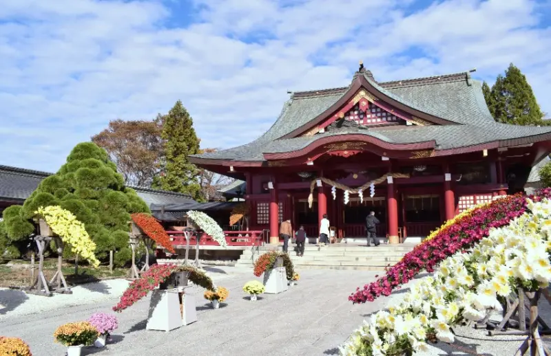 日本最古老菊花祭！茨城笠間稻荷神社第118屆菊祭11月24日免費入場，菊人形、和傘打卡點美炸了。