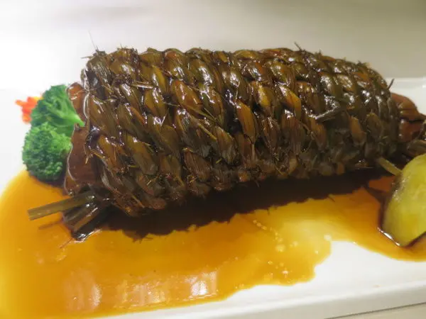 20160318@台北常聚 經典名菜都一網打盡！