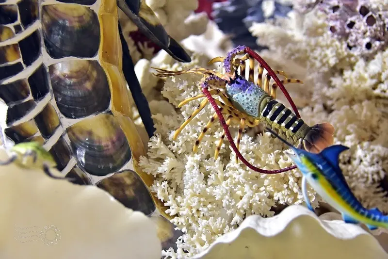 【石門珊瑚貝殼廟】十八羅漢洞