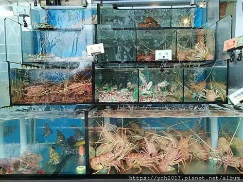 新北萬里／龜吼漁夫市集用餐