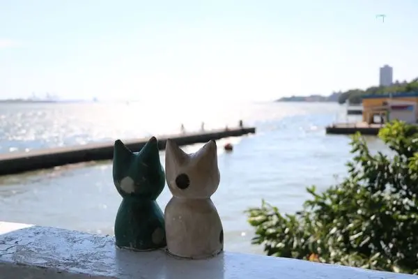 【淡水．天使熱愛的生活】簡樸卻脫俗的景觀咖啡店，一起看海吧！