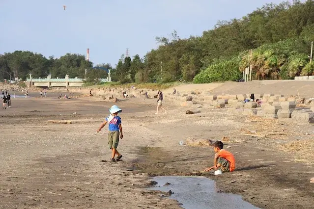 新屋濱海林蔭沙洲 (西濱公路)