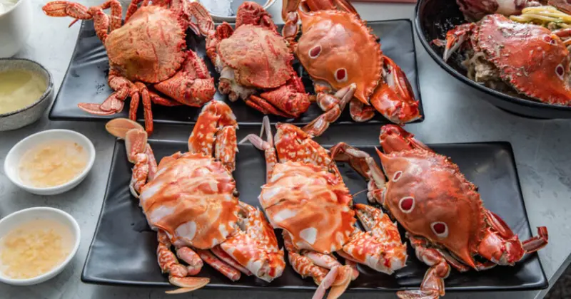 萬里蟹只要150元！金山隱藏海鮮餐廳，新北海鮮推薦。