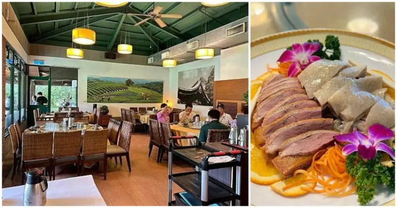 假日爆滿桃園龍潭秘境！壹等賞觀景茶園餐廳必吃茶油拌飯，家庭聚餐首選。