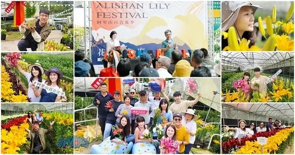 活動分享【2025阿里山百合花季】秋日浪漫的嘉義阿里山賞花之