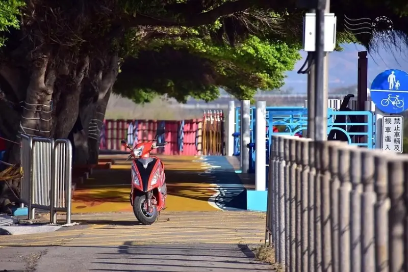 【麗水漁港】海堤步道