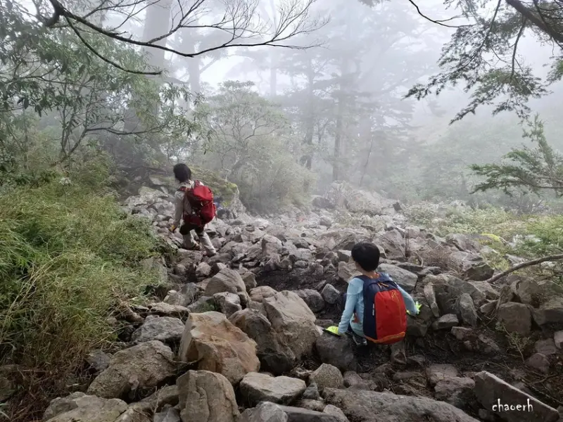 【百岳】玉山前峰(二刷)一日單攻《 3個小隊友(3歲7歲