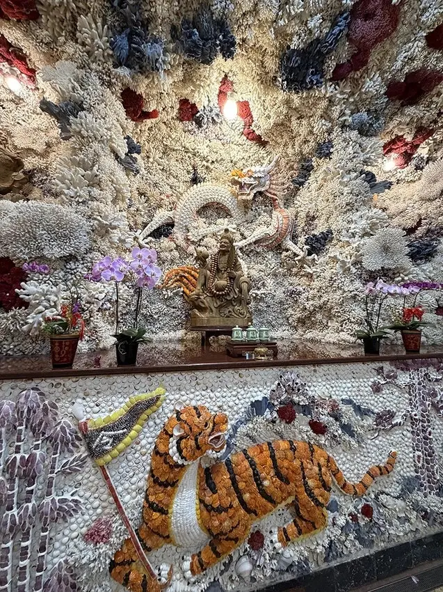 2025從粉紅花海走進海底龍宮，我的淡水奎柔山路(北8)美人