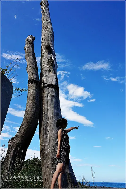 [花蓮旅遊] 牛山呼庭休閒園區民宿，馬丁史柯西斯的<沉默>看上她了!